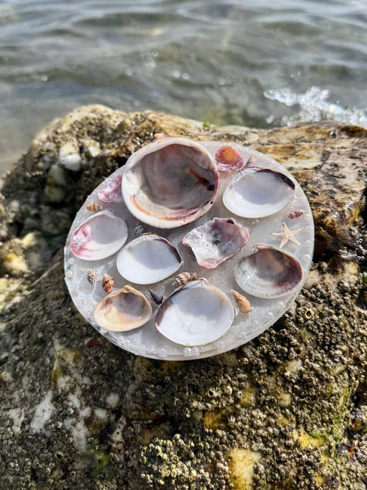 Arena iridiscente - Paleta Mezcladora de Acuarela