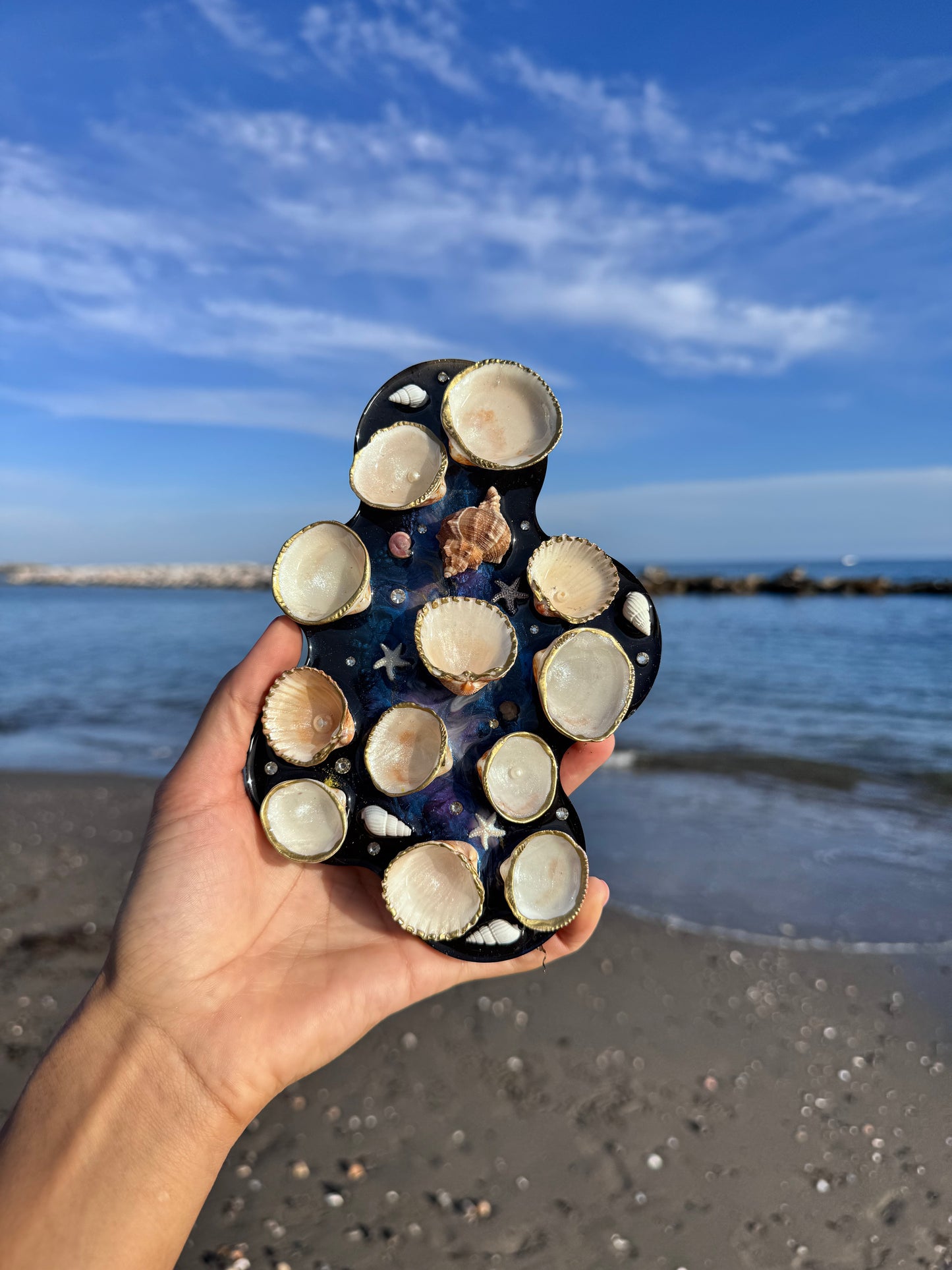 Paleta Universo Marino