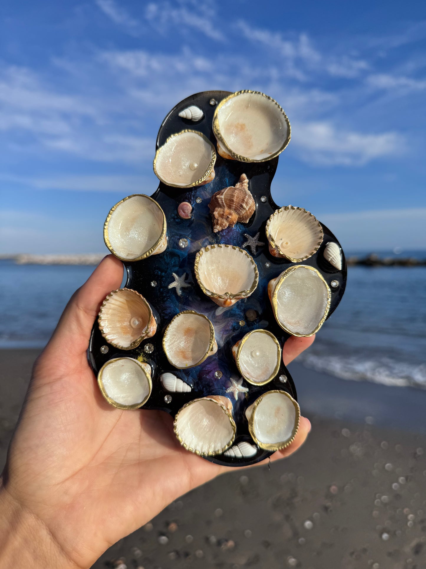 Paleta Universo Marino