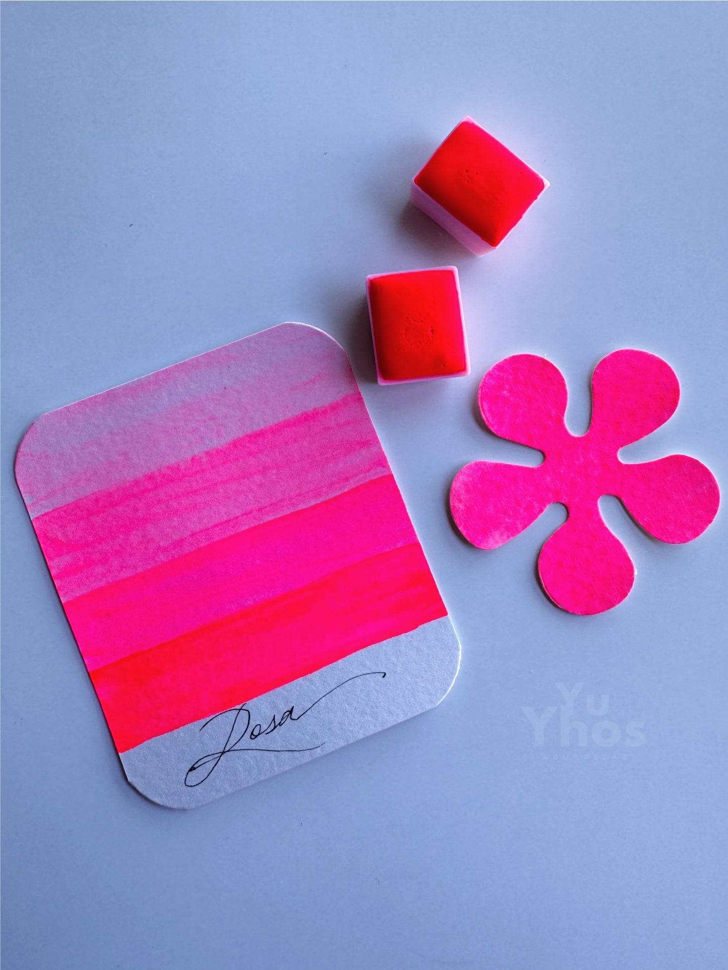 Rosa Flúor – Acuarela Profesional