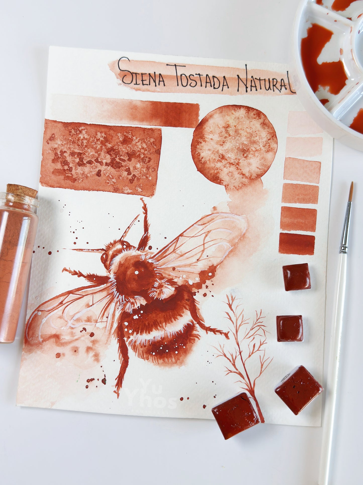 Siena Tostada Natural - Tono Monopigmento