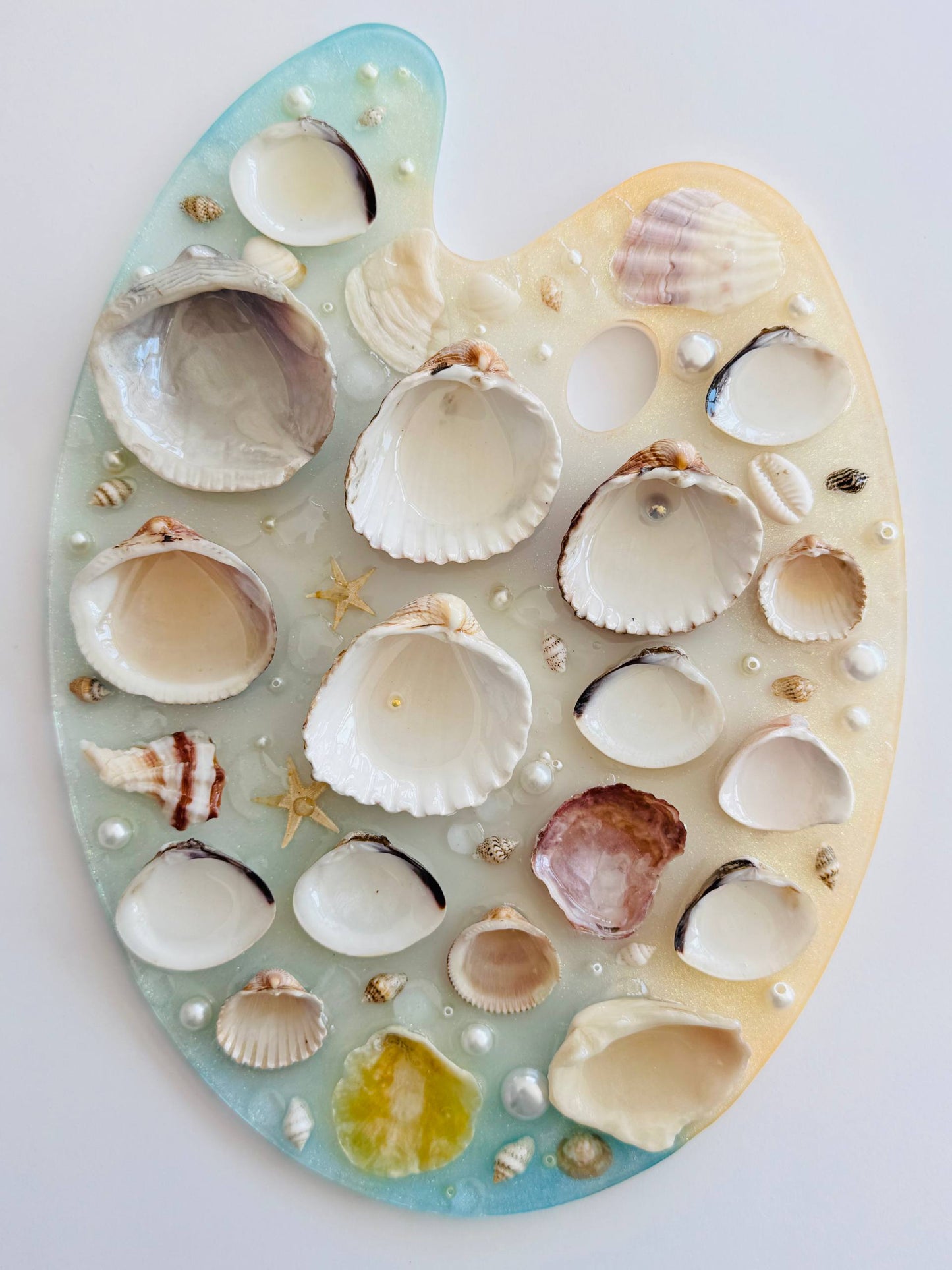 Tesoro de Costa – Paleta de Acuarela (Incluye Set Mini de 12 Monopigmentos de Regalo) 🩷