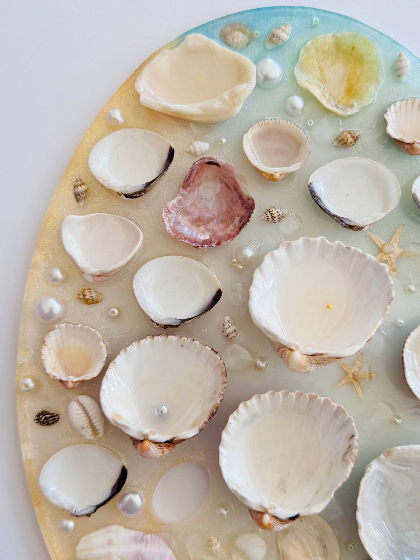 Tesoro de Costa – Paleta de Acuarela (Incluye Set Mini de 12 Monopigmentos de Regalo) 🩷