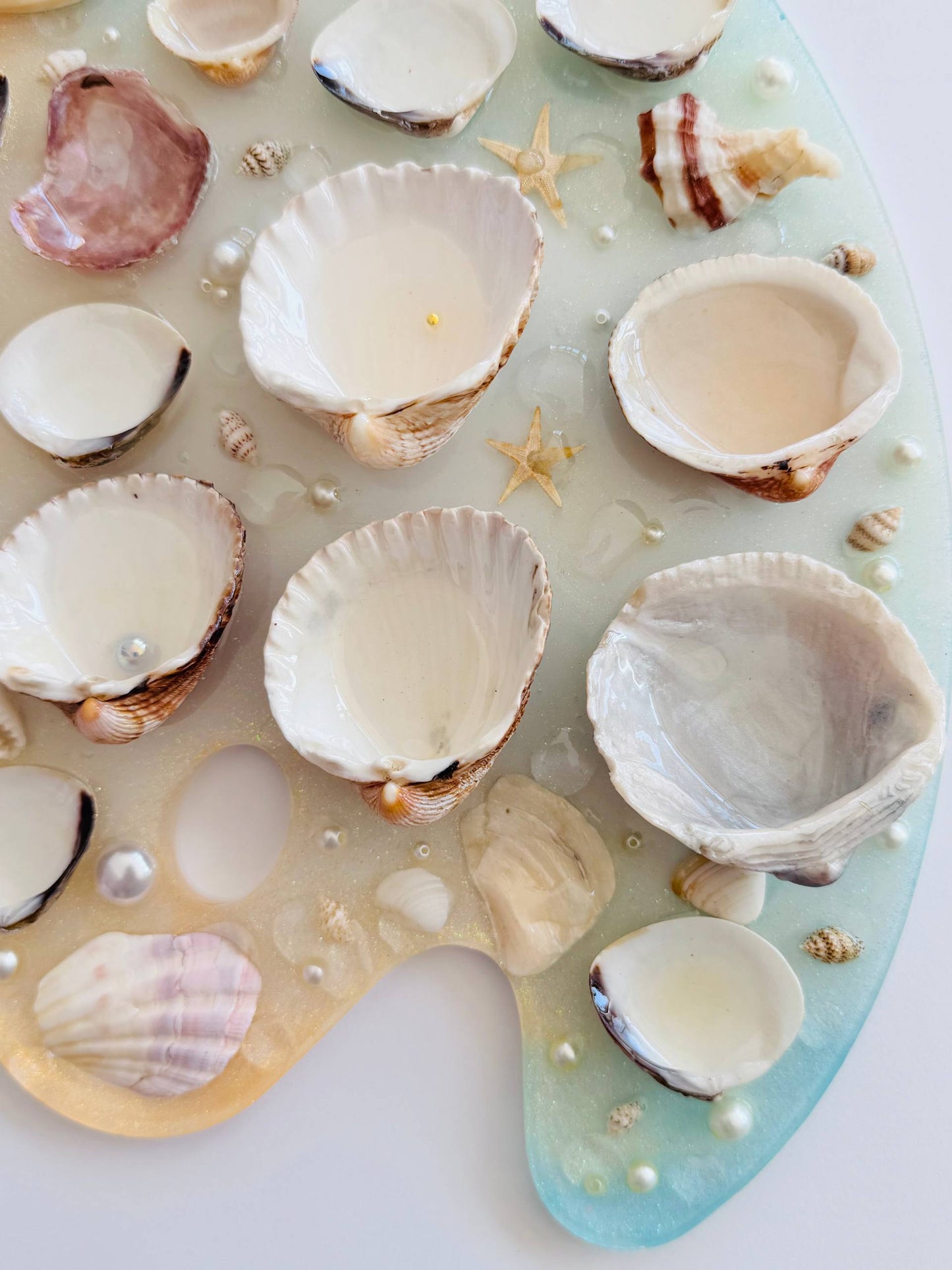 Tesoro de Costa – Paleta de Acuarela (Incluye Set Mini de 12 Monopigmentos de Regalo) 🩷