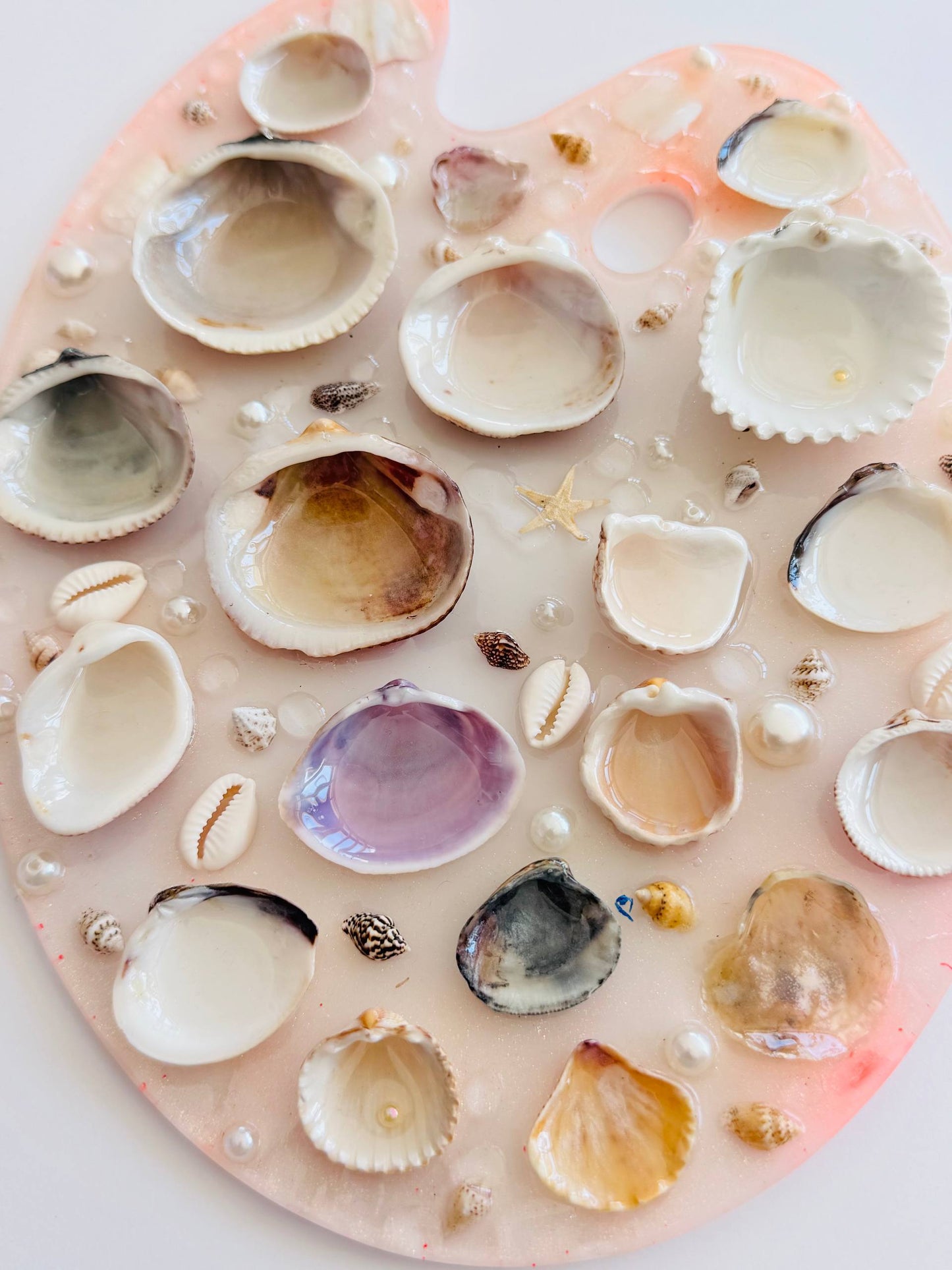 Coral – Paleta de Acuarela (Incluye Set Mini de 12 Monopigmentos de Regalo) 🩷