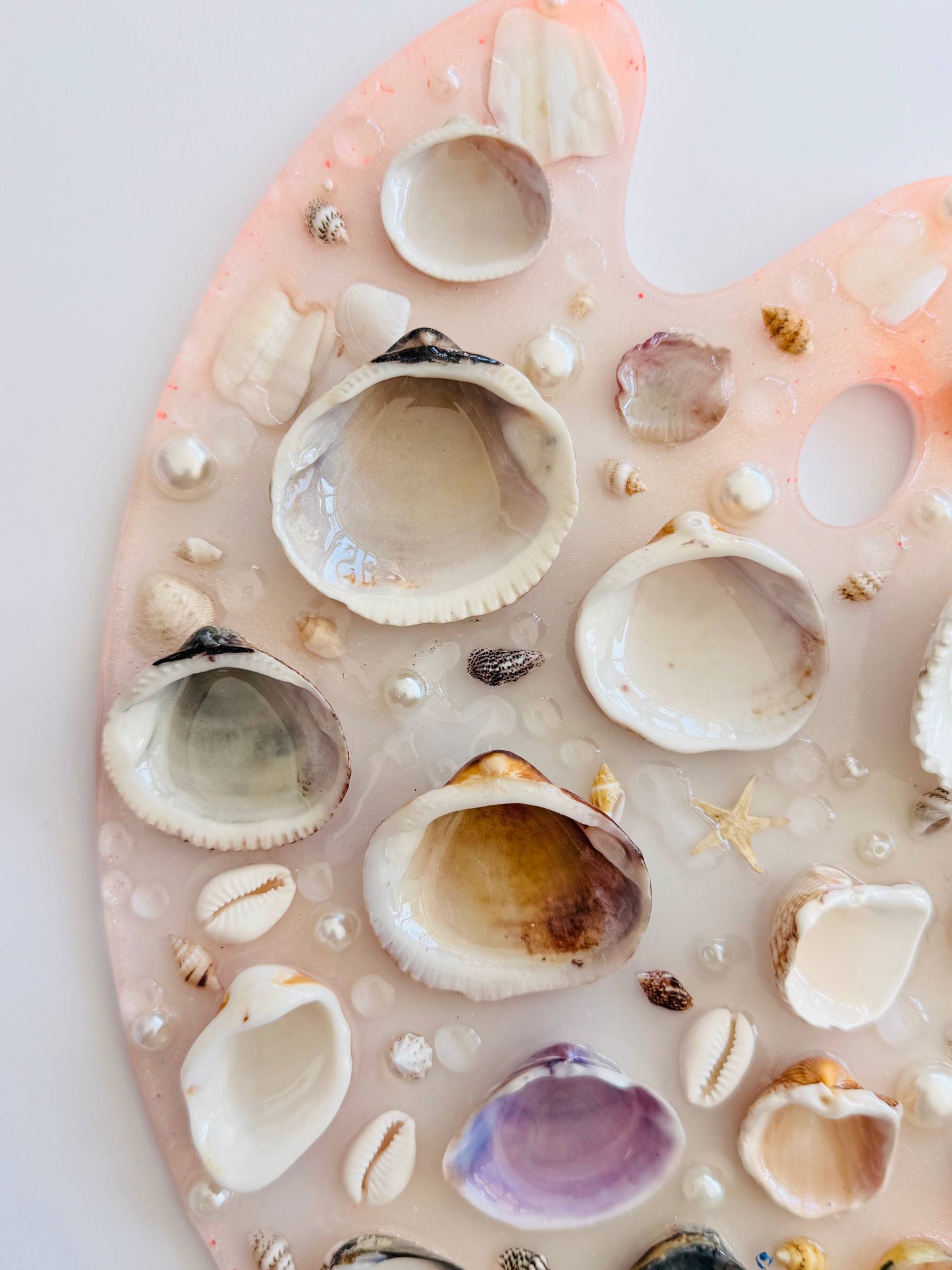 Coral – Paleta de Acuarela (Incluye Set Mini de 12 Monopigmentos de Regalo) 🩷