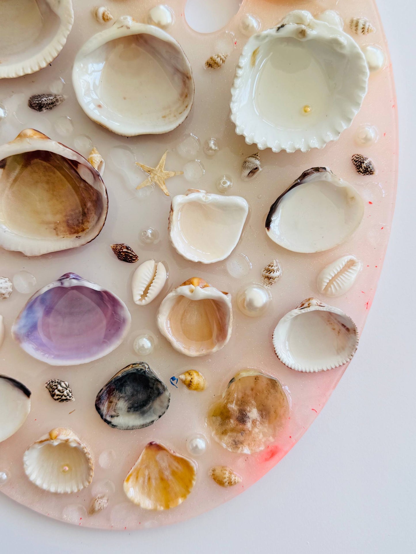 Coral – Paleta de Acuarela (Incluye Set Mini de 12 Monopigmentos de Regalo) 🩷